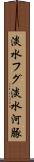 淡水フグ Scroll