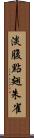 淡腹點翅朱雀 Scroll