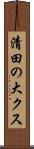 清田の大クス Scroll