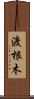 渡根木 Scroll