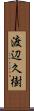 渡辺久樹 Scroll