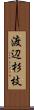 渡辺杉枝 Scroll