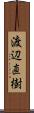 渡辺直樹 Scroll