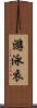 游泳衣 Scroll