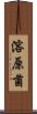 溶原菌 Scroll