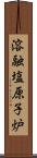 溶融塩原子炉 Scroll