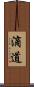 滴道 Scroll