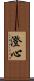澄心 Scroll