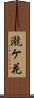 瀧ケ花 Scroll