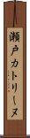 瀬戸カトリーヌ Scroll