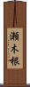 瀬木根 Scroll