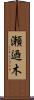 瀬迺木 Scroll