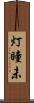 灯瞳未 Scroll