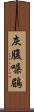 灰腹噪鶥 Scroll