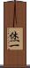 烋一 Scroll