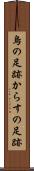 烏の足跡 Scroll
