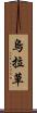 烏拉草 Scroll