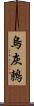 烏灰鶇 Scroll