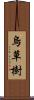 烏草樹 Scroll