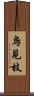 烏見枝 Scroll