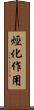烴化作用 Scroll