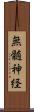 無髄神経 Scroll