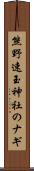 熊野速玉神社のナギ Scroll