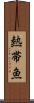 熱帯魚 Scroll
