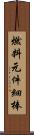 燃料元件細棒 Scroll