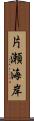 片瀬海岸 Scroll