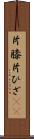 片膝 Scroll