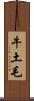 牛土毛 Scroll