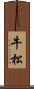 牛松 Scroll