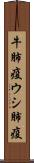 牛肺疫 Scroll