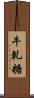 牛軋糖 Scroll