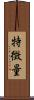 特徴量 Scroll