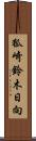 狐崎鈴木日向 Scroll