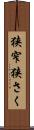 狭窄 Scroll
