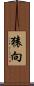 猿向 Scroll