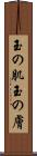 玉の肌 Scroll