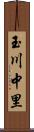 玉川中里 Scroll