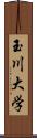 玉川大学 Scroll