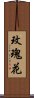 玫瑰花 Scroll