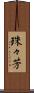 珠々芳 Scroll