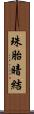 珠胎暗結 Scroll