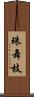 珠舞枝 Scroll