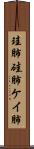 珪肺 Scroll