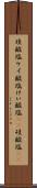珪酸塩 Scroll