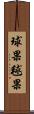 球果 Scroll