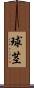球茎 Scroll